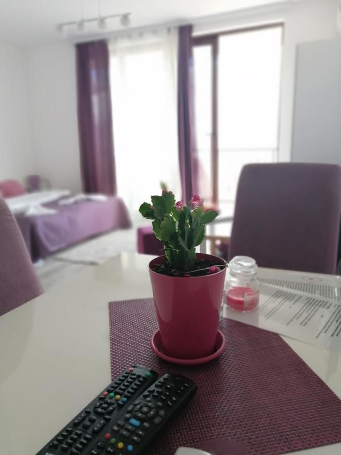 Апартаменты Apartmani Sport Igalo Херцег-Нови