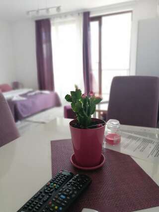 Апартаменты Apartmani Sport Igalo Херцег-Нови Апартаменты-студио-2