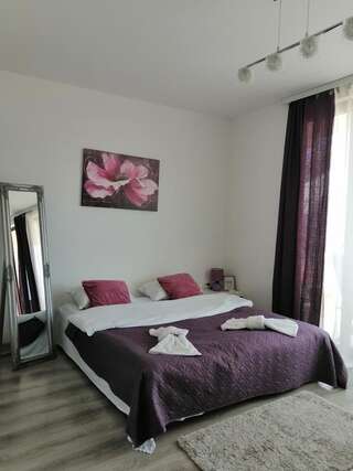 Апартаменты Apartmani Sport Igalo Херцег-Нови Апартаменты-студио-5