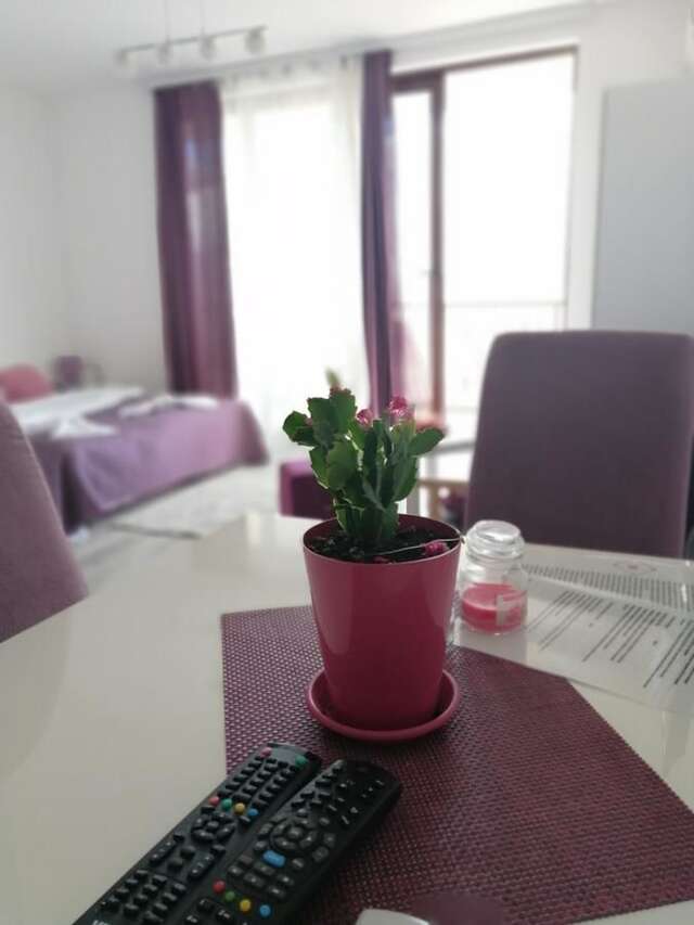 Апартаменты Apartmani Sport Igalo Херцег-Нови-7